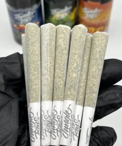 Jungle Boys Mini Prerolls