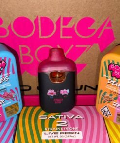 Bodega Boyz