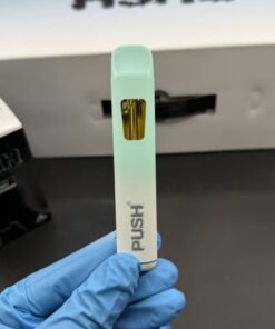Push 2G Disposable