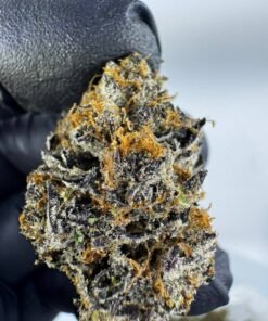 GIRL SCOUT COOKIES 🍪