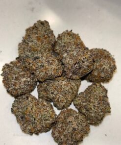 BLUEBERRY BANG BANG 🫐💥💣