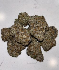 PANDA MILK 🐼🥛🔥