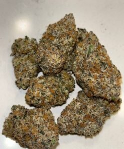 Daily Grape