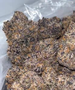 LAZER BOMB ⛽️💣 ⚡️