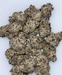 MOONBEAM 🧨🌑🚀