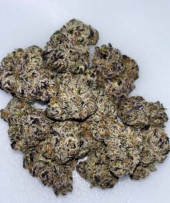 MANGO MOJITO 🥭🍬⛽️