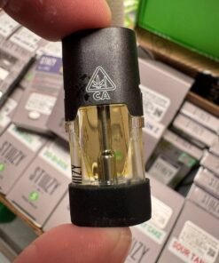 Stiiizy 1G Disposable