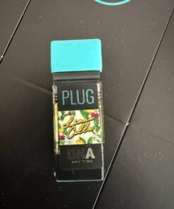 plug play pods, plug n play carts, plugplay battery, plugnplay, plug play battery, plug n play battery, plugplay, plug play, plug n play, plugplay hemp, plug and play disposable, pnp dispo, plug n play battery price, plug and play flavors, plug n play battery, plug play battery, plug and play batteries, play battery, plug2play, plug and plays, pnp bats, pnp disposable, pnp flavors, livest, plugplay dna, plug and play thc, plug n play dispo, plugplay vape, plug play dna, plug n play battery, play plug, plug-in-play, plug and play carts, plug in play cart, rnbw plug play, plug n play weed, plugplay batteries, plug play dispo, plug play flavors, plug n olay, plugplay carts, plug play all in one, pnp pen, playplug, plug and play flavors, plug and play weed, pnp flavors, plug play pod, plug n play price,